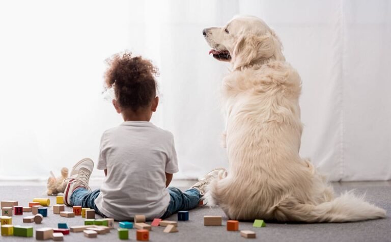 Kids vs Dogs