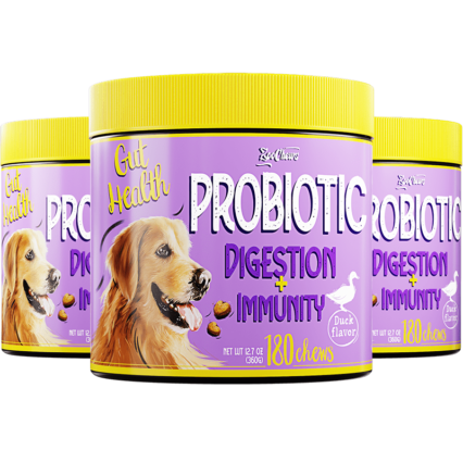 Probiotic digestion + immunity treats 3 pack